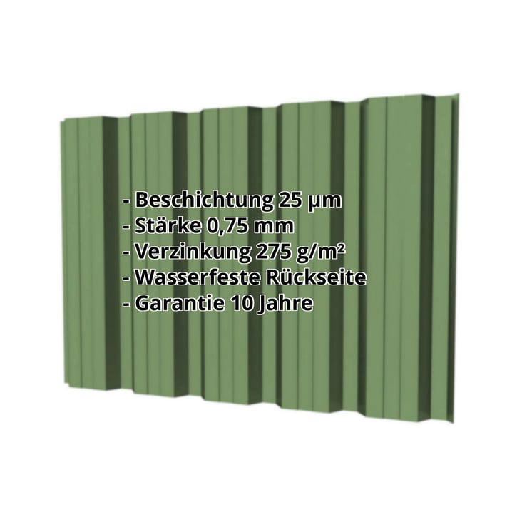 Trapezblech T35DR | Wand | Stahl 0,75 mm | 25 µm Polyester | 6011 - Resedagrün #2
