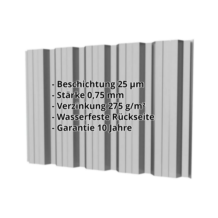 Trapezblech T35DR | Wand | Stahl 0,75 mm | 25 µm Polyester | 9006 - Weißaluminium #2
