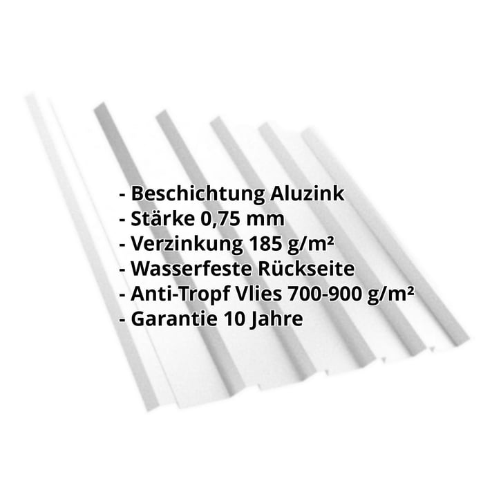Trapezblech T35M | Dach | Anti-Tropf 700 g/m² | Stahl 0,75 mm | Aluzink | Blank Aluminium #2