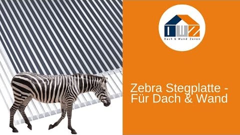 Youtube Vorschaubild